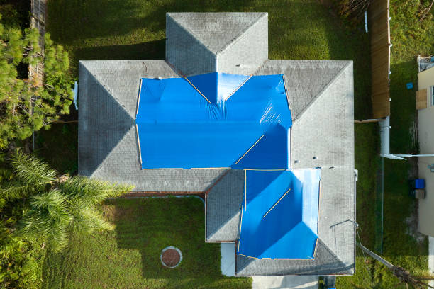 Best Asphalt Shingle Roofing  in St George, SC