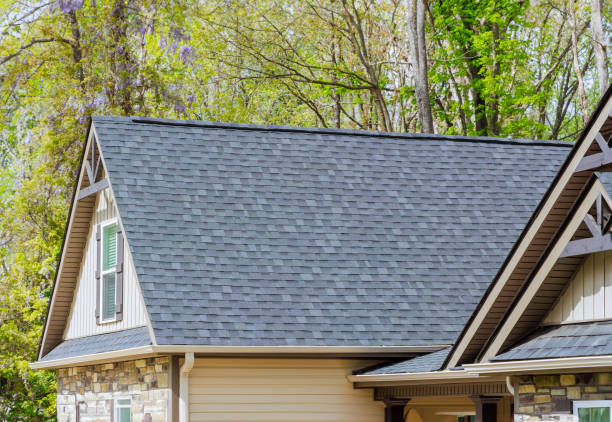 Best Rubber Roofing (EPDM, TPO)  in St George, SC