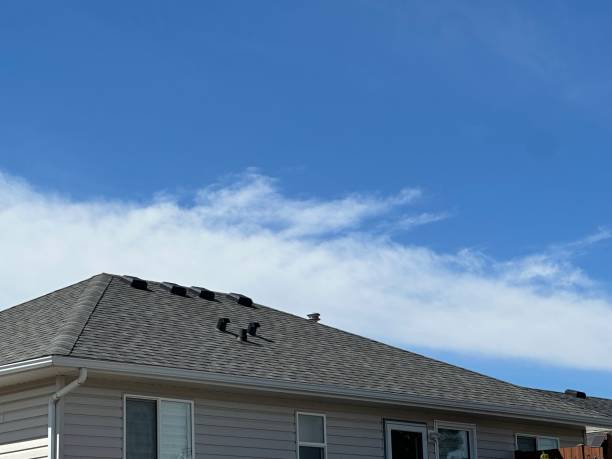 Best Gutter Installation and Repair  in St George, SC